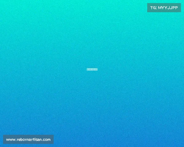 武林风方便战绩